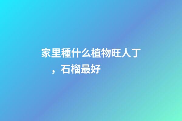 家里種什么植物旺人丁，石榴最好